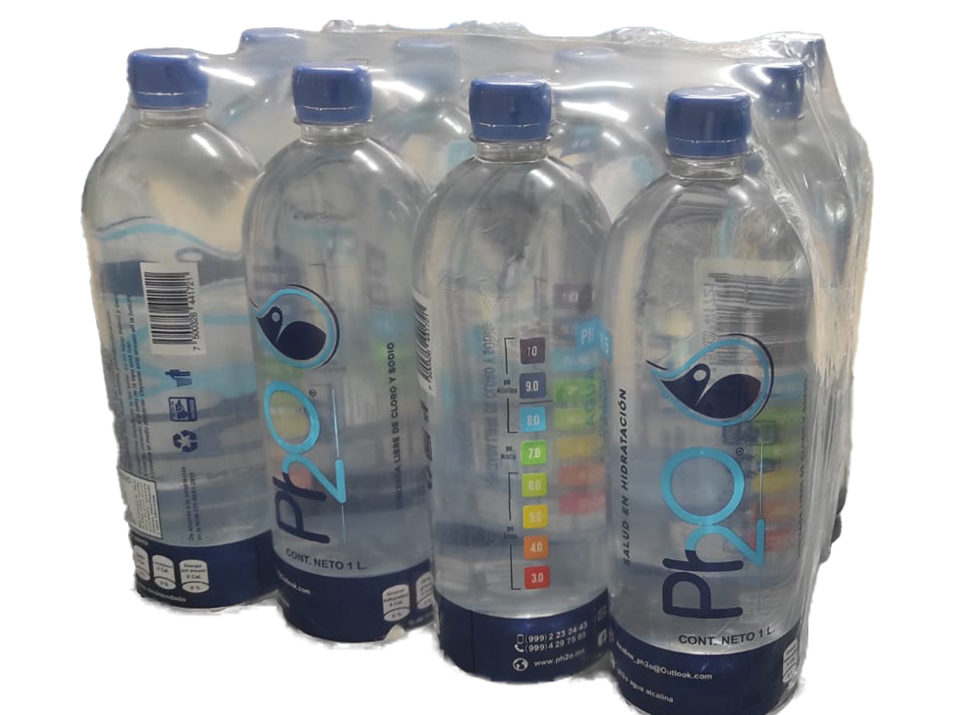 Plancha de 12 botellas de 1 litro